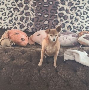 Meet your Posher, Candice